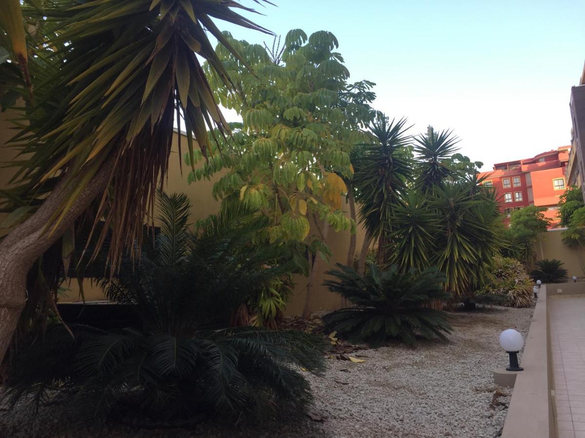 Ed&Pat'S Beach Flat El Medano  Bagian luar foto